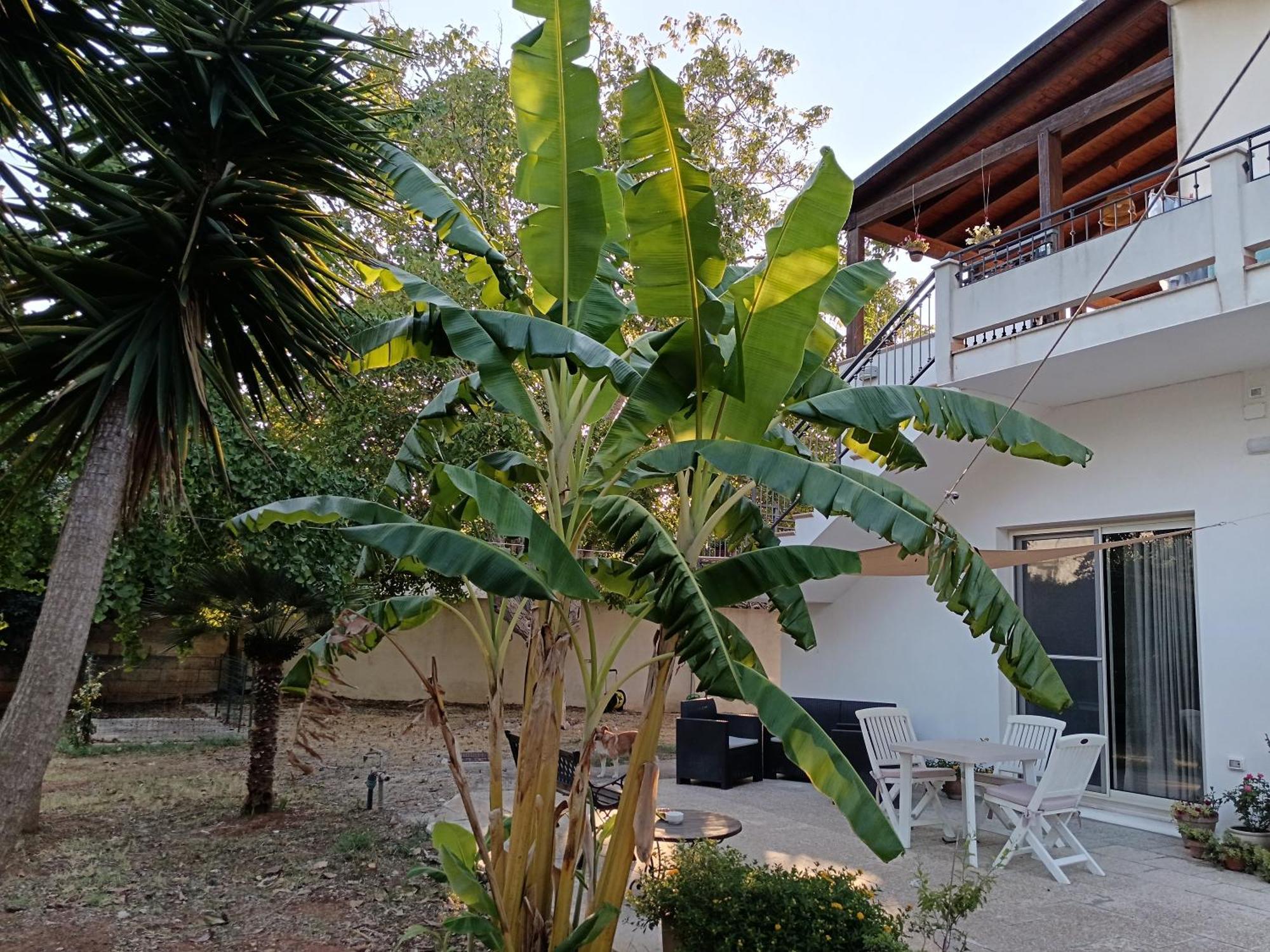 La Casa Del Noce Villa Ruffano Exterior photo