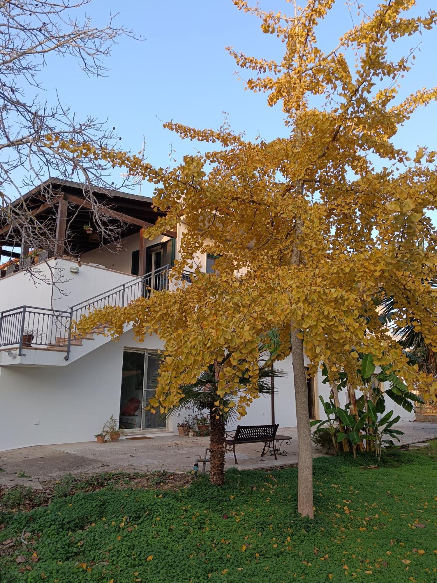 La Casa Del Noce Villa Ruffano Exterior photo